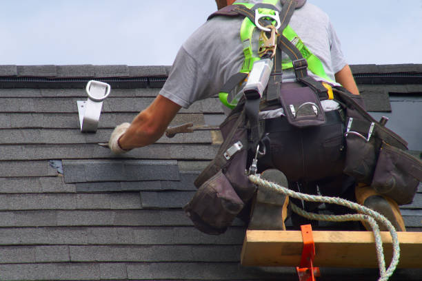 Best Residential Roofing Contractor  in Toulon, IL