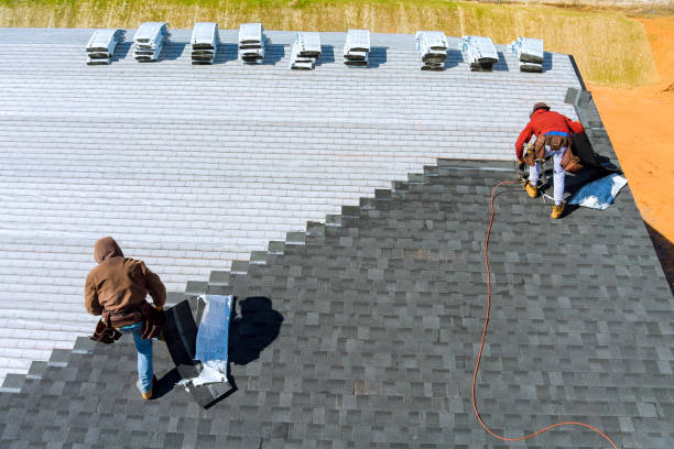 Best Roof Maintenance Services  in Toulon, IL
