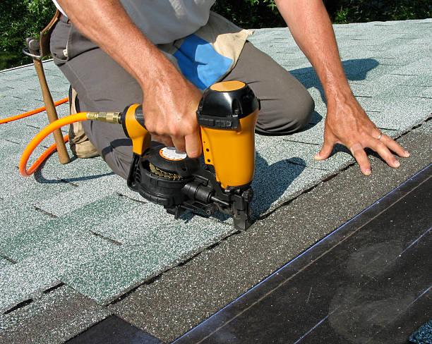 Best Storm Damage Roof Repair  in Toulon, IL