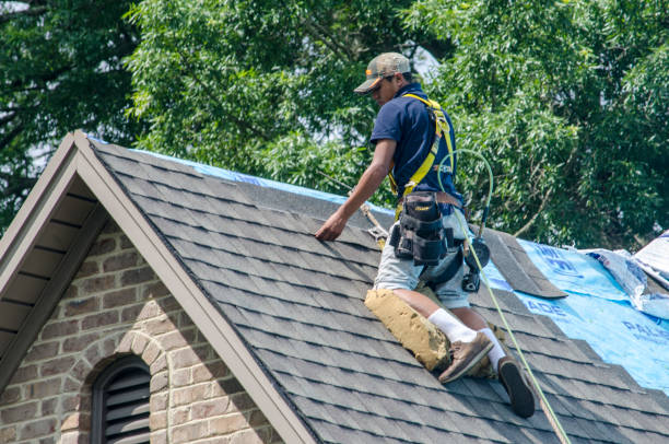 Best Commercial Roof Installation  in Toulon, IL